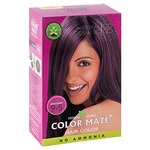    COLOR MATE Heir Color ( 9.5,  )