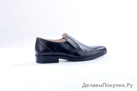 модель 201