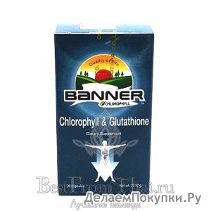     "Banner Chlorophyll"