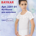 2202-01  Baykar (  )