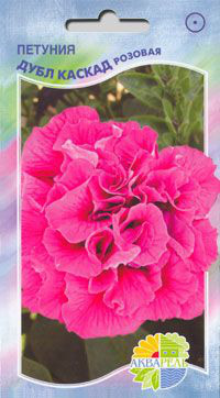     Grandiflora Double Petunias, ,   3 