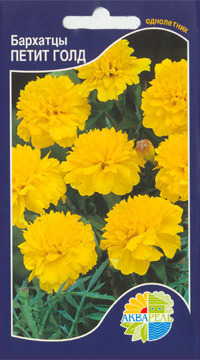    Tagetes patula, ,   3 