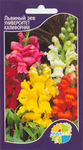     Antirrhinum maius, ,   2 