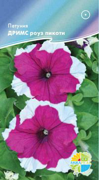     F1 Grandiflora Single Petunia, ,   2 