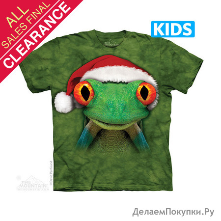 Froggie Elf Kids T-Shirt