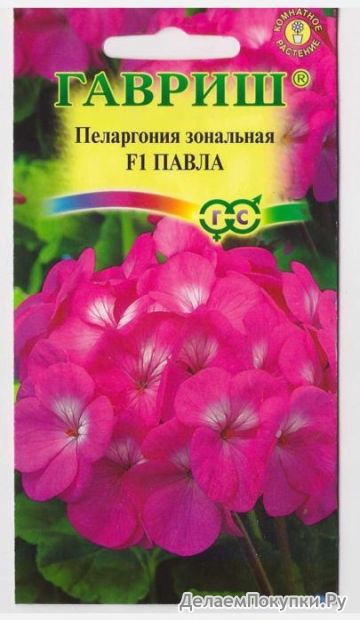 Пеларгония Павла F1