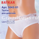 5043-01  Baykar (  )