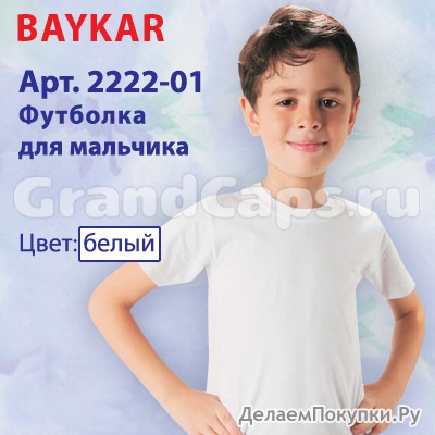 2222-01  Baykar (  )