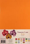  '' 2 , 210*297, 5 , F2-02, 