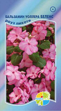       Impatiens walleriana, 