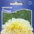    Tagetes erecta, 