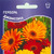    Gerbera Jamesonii mixed, 