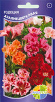    Godetia grandiflora azaleaflora double mixed, 