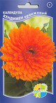     Calendula officinalis, 