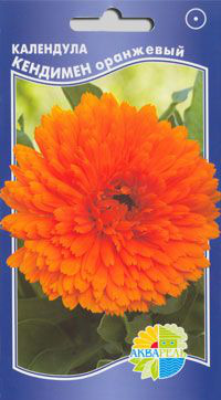     Calendula officinalis, 