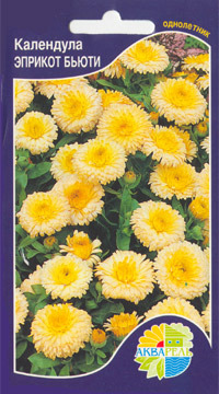     Calendula officinalis, 