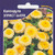     Calendula officinalis, 