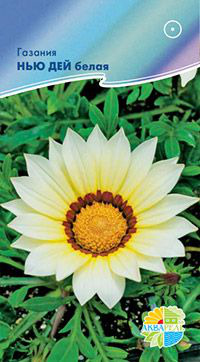 ,      Gazania rigens F1/ 