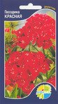      Dianthus barbatus, 