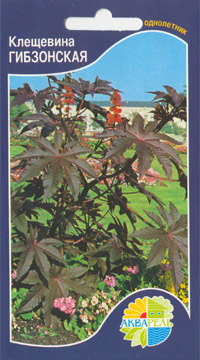    Ricinus communis, 