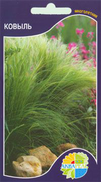   Stipa tenuissima,  