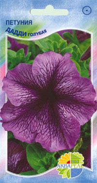     Grandiflora Single Petunia,  