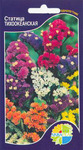    Limonium sinuatum, 