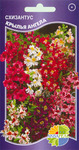  " "  Schizanthus wisetonensis mixed, 