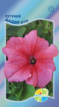     Grandiflora Single Petunia, 