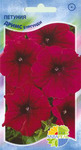    Grandiflora Single Petunia  