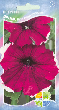      Grandiflora Single Petunia, 