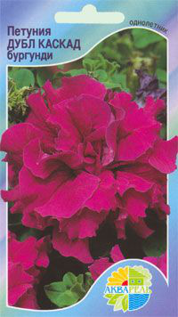      Grandiflora Double Petunia  