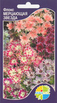     Phlox drummondii, 