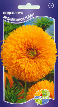   " "  Helianthus annuus, 