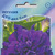      Multiflora Double Petunias, 