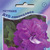     Multiflora Double Petunias, 