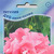      Multiflora Double Petunias, 