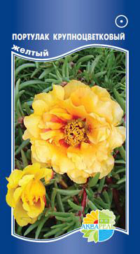     Portulaca grandiflora double/  , 