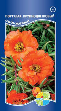     Portulaca grandiflora double/  , 