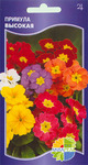    Primula eliator mixed, 