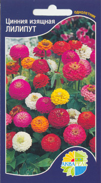     Zinnia elegans, 