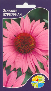    Echinacea purpurea, 