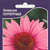    Echinacea purpurea, 