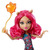 Monster High Ghoul Fair Howleen Wolf Doll