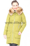  Visdeer (  )