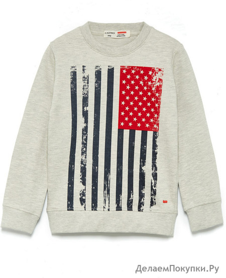 USA SWEATSHIRT