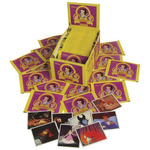 Disney's Princesses Sticker Packet Box - Panini Box