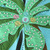 S286A-BLUE