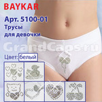 5100-01  Baykar (  )