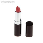    Rimmel Lasting Finish Lipstick - Guest List 012